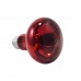 Luz lampada De Aquecimento Infravermelho 100w 110v